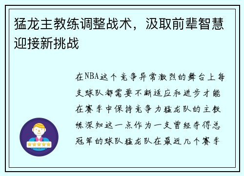 猛龙主教练调整战术，汲取前辈智慧迎接新挑战